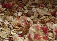   Crunchy Muesli Biolgico com Frutos do Bosque, 20kg